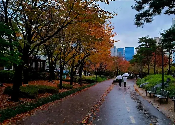 홍대 햇살 가득한 집 프라이빗 단독층 35평 방4,욕실2,거실2,최대10인,단체,가족,승강기,주차,짐 보관 Appartement Séoul