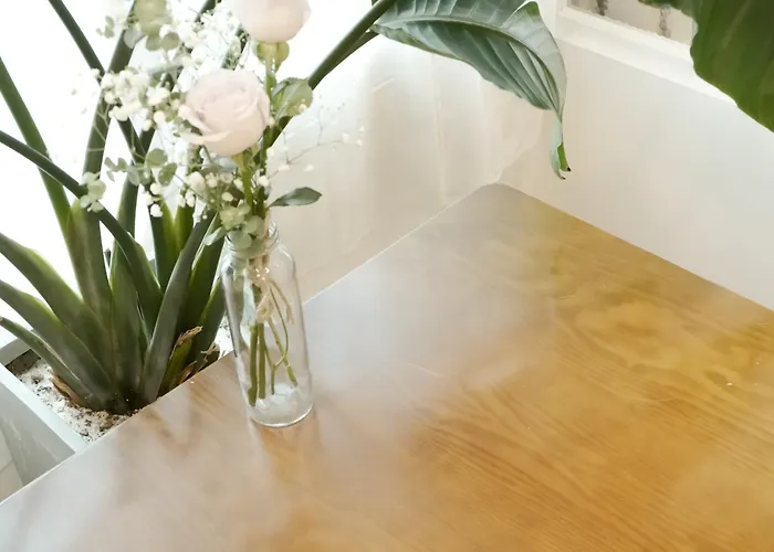홍대 햇살 가득한 집 프라이빗 단독층 35평 방4,욕실2,거실2,최대10인,단체,가족,승강기,주차,짐 보관